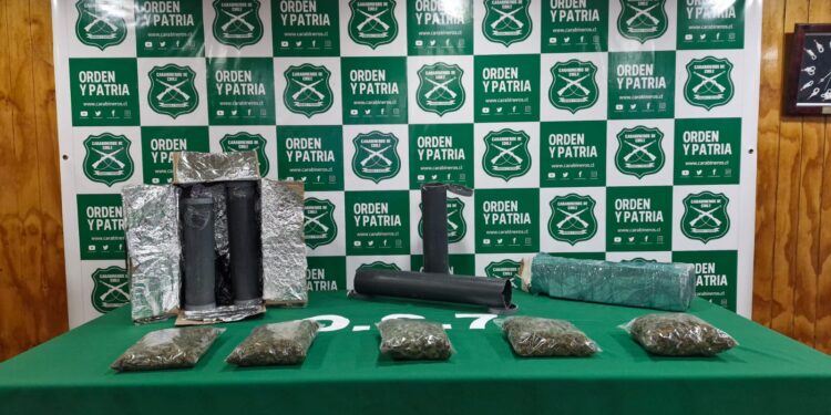 O.S.7 de Carabineros decomisa cerca de dos kilos de marihuana enviados a Punta Arenas en tubos de PVC