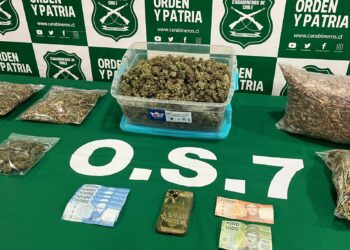 Detienen a hombre con más de dos kilos de marihuana en Punta Arenas