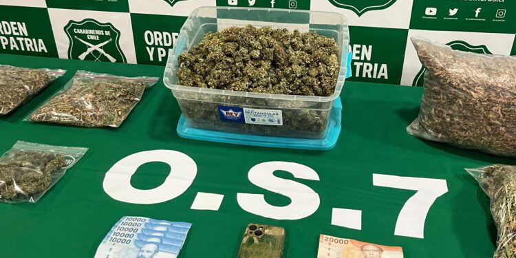 Detienen a hombre con más de dos kilos de marihuana en Punta Arenas