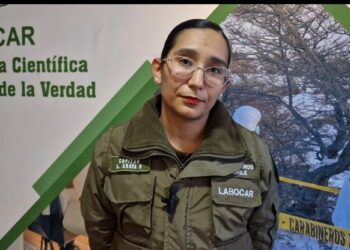Investigan robo de vehículo que terminó con choque contra poste y vivienda en Punta Arenas
