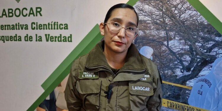 Investigan robo de vehículo que terminó con choque contra poste y vivienda en Punta Arenas