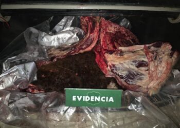 Dos detenidos por abigeato en estancia de Torres del Paine,incautan restos de vacuno faenado y un rifle sin documentación
