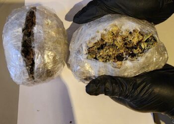 Mujer es detenida en Puerto Williams tras entrega controlada de encomienda con drogas incautada por Armada y Carabineros