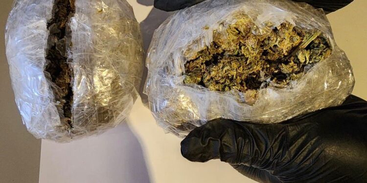 Mujer es detenida en Puerto Williams tras entrega controlada de encomienda con drogas incautada por Armada y Carabineros