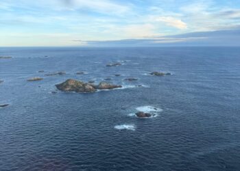 Continúa intensa búsqueda de pescador desaparecido hace más de dos días en Punta Arenas