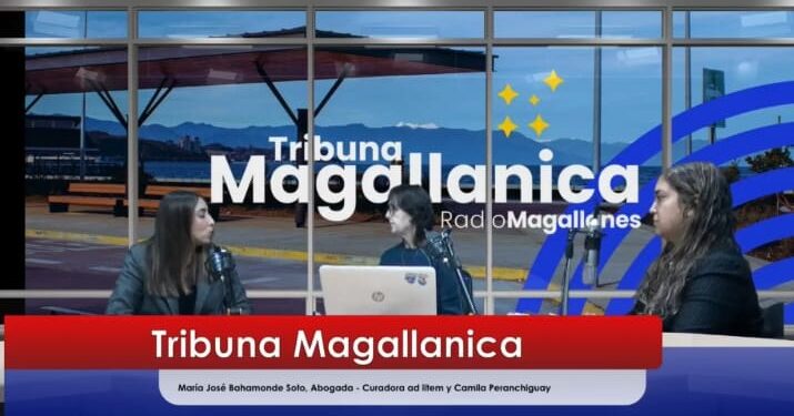Programa «La Niñez y Adolescencia se Defiende» en Magallanes alerta por fuerte carga judicial: cuatro abogados asumen más de 2.500 causas vigentes.