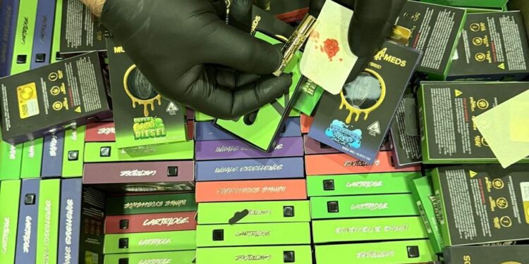 O.S.7 de Carabineros incauta cargamento de aceite de hachís valorado en 8 millones de pesos en Punta Arenas.