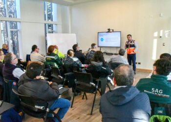 Autoridades refuerzan coordinación ante emergencias invernales en Puerto Williams