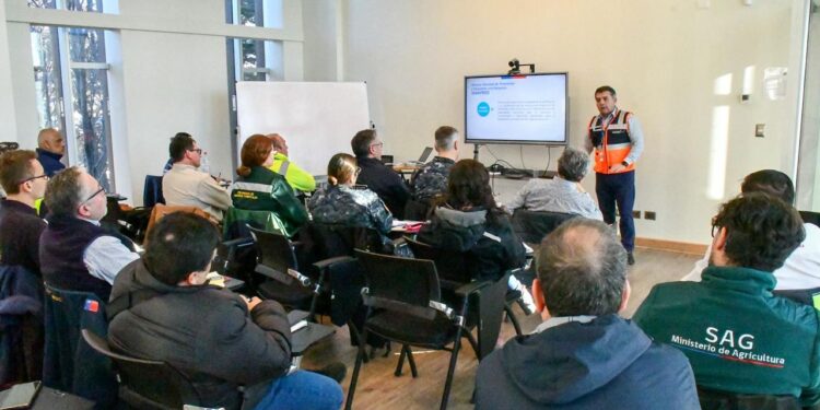 Autoridades refuerzan coordinación ante emergencias invernales en Puerto Williams