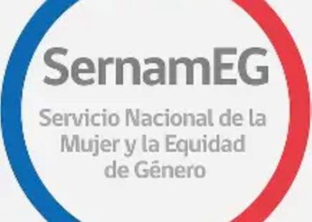 Programa de defensa jurídica infantil fortalece protección de derechos de niños y adolescentes en Magallanes