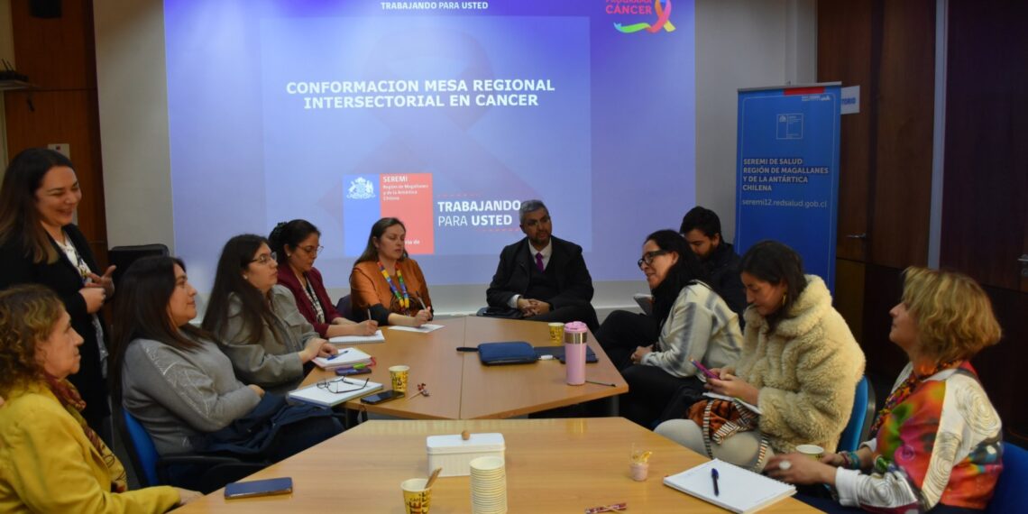 Magallanes conforma Mesa Regional Intersectorial de Cáncer para fortalecer estrategia contra la enfermedad