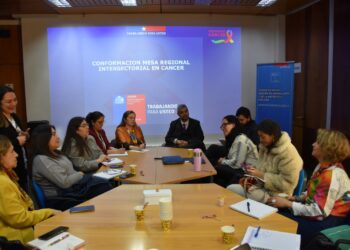 Magallanes conforma Mesa Regional Intersectorial de Cáncer para fortalecer estrategia contra la enfermedad