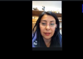Presidenta del Colegio de Profesores manifestó preocupación por recortes presupuestarios y salud mental estudiantil en Mesa Magallánica