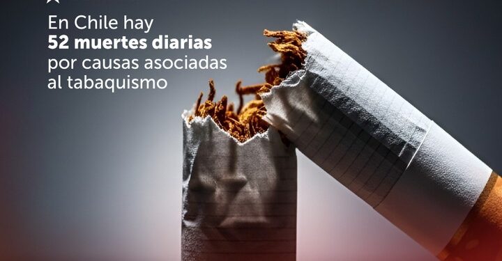 Magallanes registra la menor tasa de consumo de tabaco adolescente del país, según encuesta nacional
