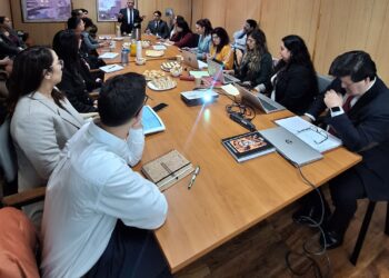 Seremi de Educación lidera primera sesión del Plan Regional para fortalecer la convivencia escolar en Magallanes