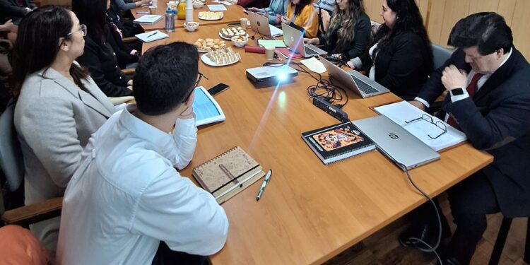 Seremi de Educación lidera primera sesión del Plan Regional para fortalecer la convivencia escolar en Magallanes