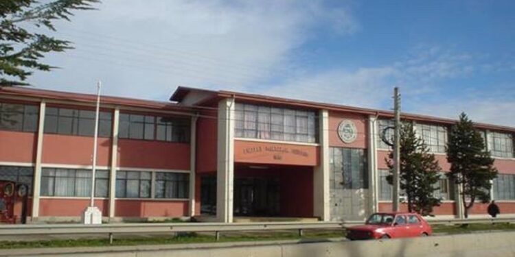 Siete estudiantes fueron suspendidos tras riña en el Liceo Industrial de Punta Arenas