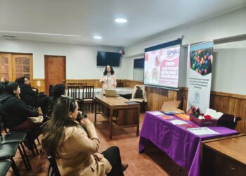 SernamEG Magallanes abre postulaciones 2026 para programa de Derechos Sexuales y Reproductivos