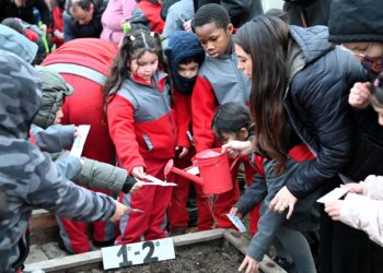 Escuela Dellamira Rebeca Aguilar reactiva sello medioambiental y proyecta plan educativo a cinco años
