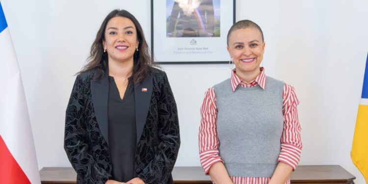 Diputada Javiera Morales plantea prioridades regionales en reunión con delegada presidencial Ericka Farías