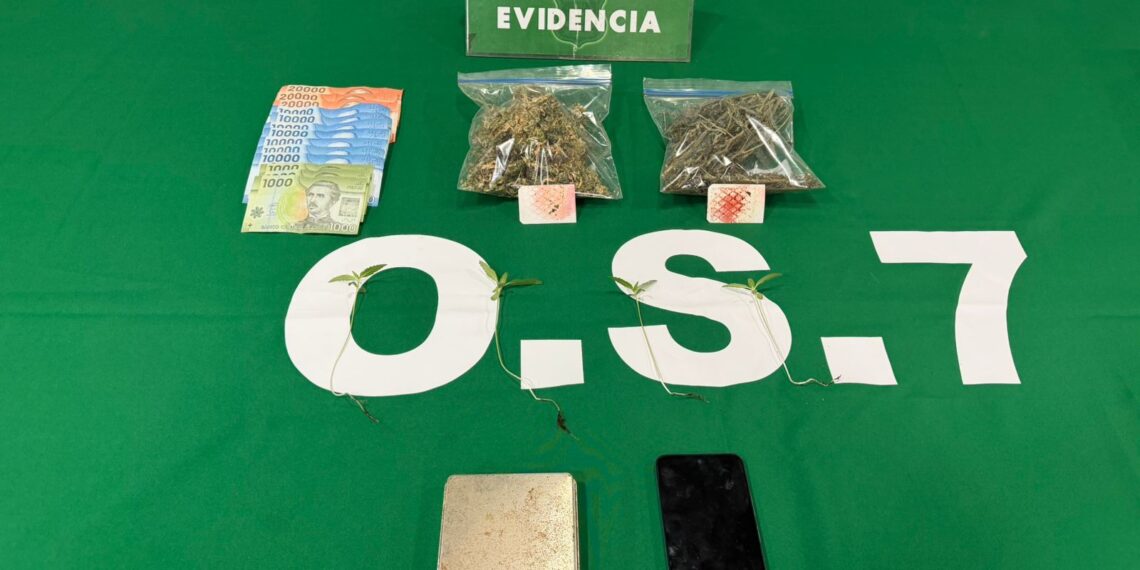 Carabineros detiene a joven de 26 años por tráfico de drogas en Punta Arenas