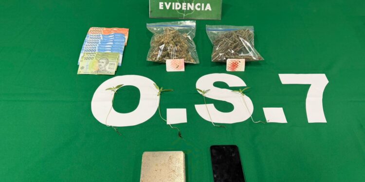 Carabineros detiene a joven de 26 años por tráfico de drogas en Punta Arenas