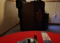 Exitosa jornada cultural reunió a amantes de la poesía y el cuento en la sede del Partido Socialista.