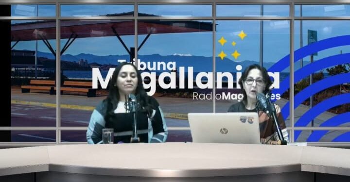 Alerta ambiental en Magallanes: Sernapesca reporta nuevo varamiento de ballena en medio de balance con alta fiscalización acuícola.