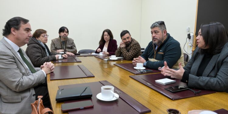 Preocupación en Última Esperanza, Gremios advierten que obras en el aeródromo podrían afectar empleo y conectividad