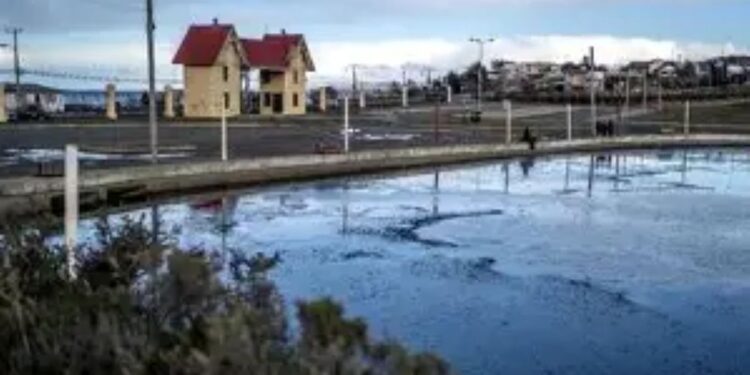¡Indignación en Punta Arenas! Detectan robo de energía en el Parque María Behety, constructora se habría «colgado» del sistema eléctrico municipal