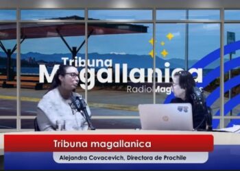 ProChile impulsará oportunidades comerciales “Lana a la India y exclusivas fibras de Guanaco en mercados que sumarian carne de la especie”.