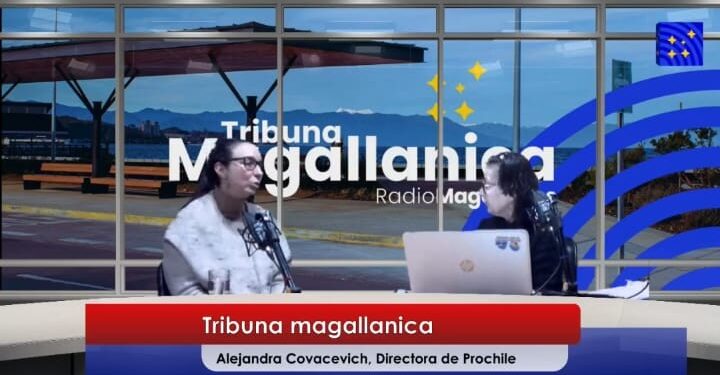 ProChile impulsará oportunidades comerciales “Lana a la India y exclusivas fibras de Guanaco en mercados que sumarian carne de la especie”.