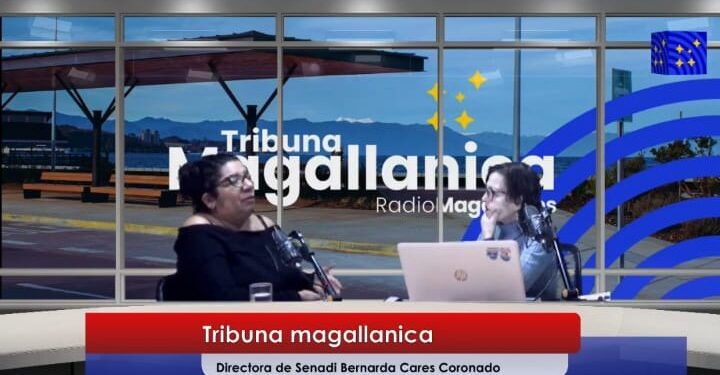 SENADIS Magallanes trabaja en nueva hoja de ruta 2026-2030 con foco en la actualización de la política de inclusión y accesibilidad.