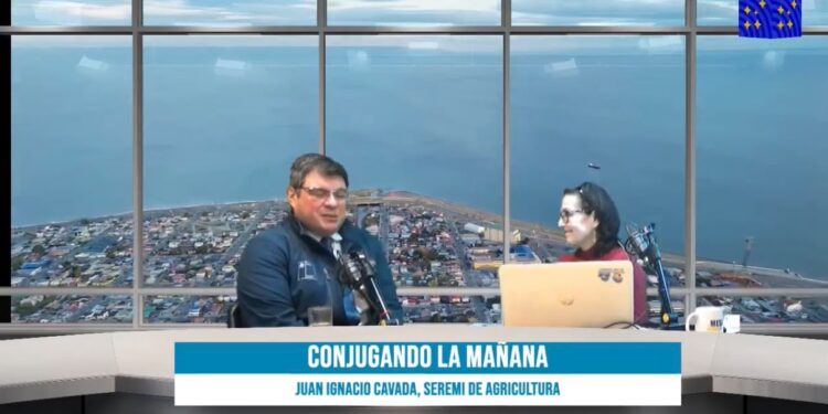 Seremi de Agricultura destaca positivo escenario para el agro en Magallanes y advierte por impacto de temporales en el resto del país
