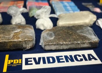 PDI concreta expulsión de ciudadano colombiano condenado por tráfico de drogas en Magallanes