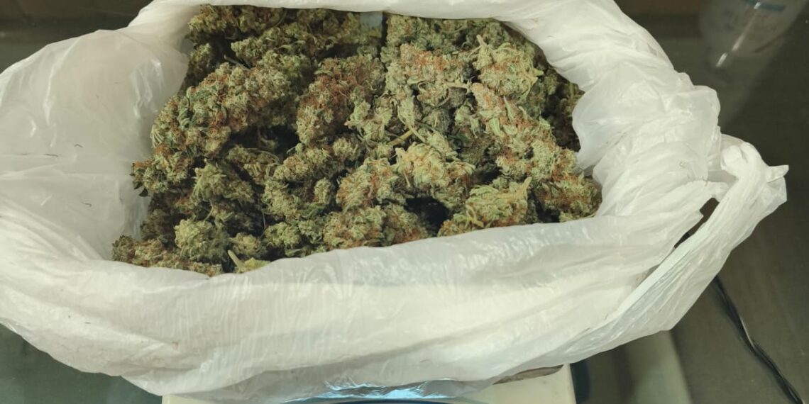 Conductor es detenido en Punta Arenas tras ser sorprendido con más de 100 gramos de marihuana