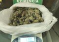 Conductor es detenido en Punta Arenas tras ser sorprendido con más de 100 gramos de marihuana