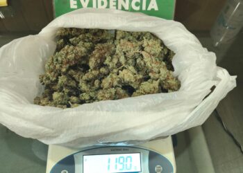 Conductor es detenido en Punta Arenas tras ser sorprendido con más de 100 gramos de marihuana