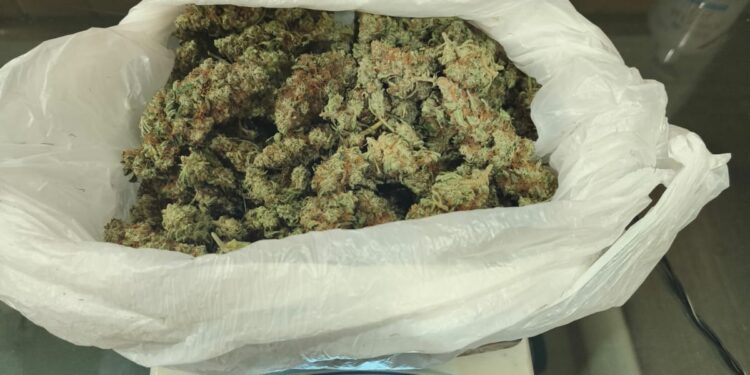 Conductor es detenido en Punta Arenas tras ser sorprendido con más de 100 gramos de marihuana