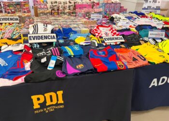 Megaoperativo en Punta Arenas, incautan más de 1.200 productos falsificados y detienen a dos personas