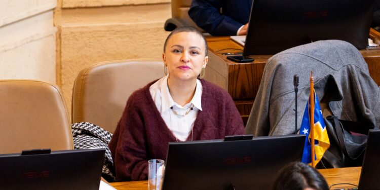 Diputada solicita intervención del Ministerio de Desarrollo Social por falta de centro para adolescentes con adicciones en Magallanes