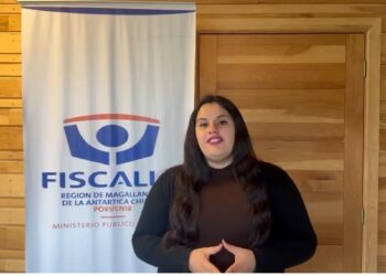 Fiscalía investiga serie de casos de envenenamiento de animales en Porvenir