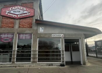 Delincuente con cerca de 50 detenciones es sorprendido robando al interior de la Carnicería Pampa Grande en Punta Arenas