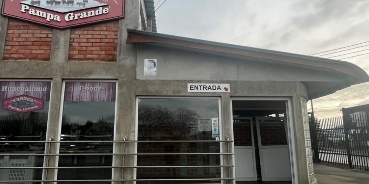 Delincuente con cerca de 50 detenciones es sorprendido robando al interior de la Carnicería Pampa Grande en Punta Arenas
