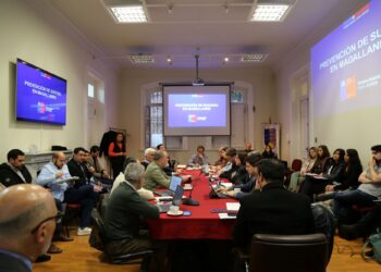 Comisión de Desarrollo Social analiza aumento de problemas de salud mental en Magallanes y anuncia trabajo interinstitucional