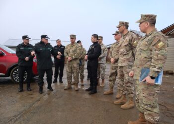 Gendarmería y Armada fortalecen cooperación para impulsar futura unidad canina en Magallanes