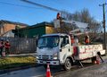 EDELMAG refuerza poda preventiva de árboles para evitar cortes de suministro eléctrico en Punta Arenas