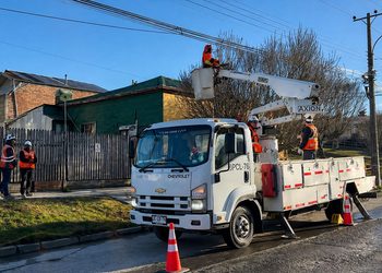 EDELMAG refuerza poda preventiva de árboles para evitar cortes de suministro eléctrico en Punta Arenas