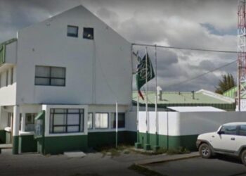 Detienen a sujeto por violencia intrafamiliar y descubren cultivo de marihuana en Punta Arenas