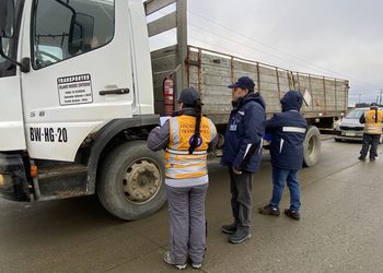 Operativos conjuntos al transporte de carga dejan 221 citaciones y tres detenidos en Magallanes